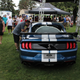 Illustration for article titled PVGP photos
